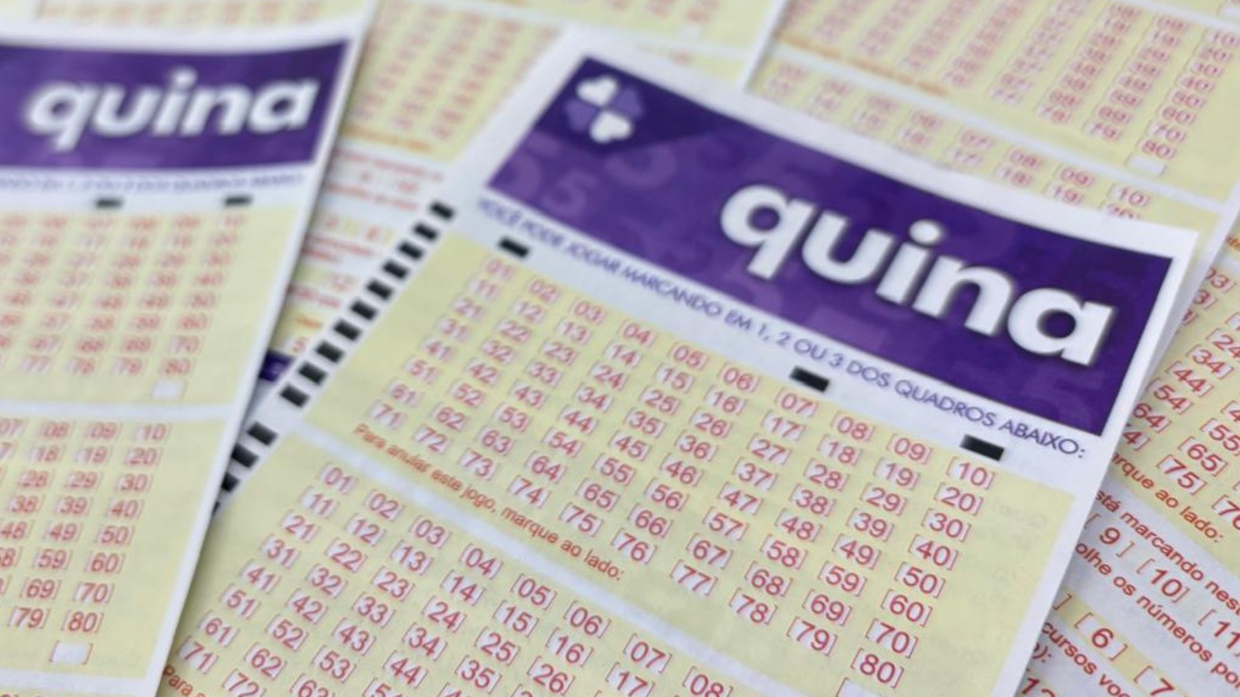 Quina acumula e prêmio principal chega a R$ 51 milhões para próximo sorteio