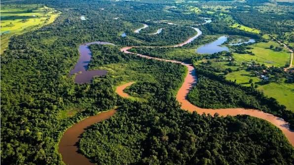 Desafios globais na conservação da biodiversidade e os gargalos na saúde