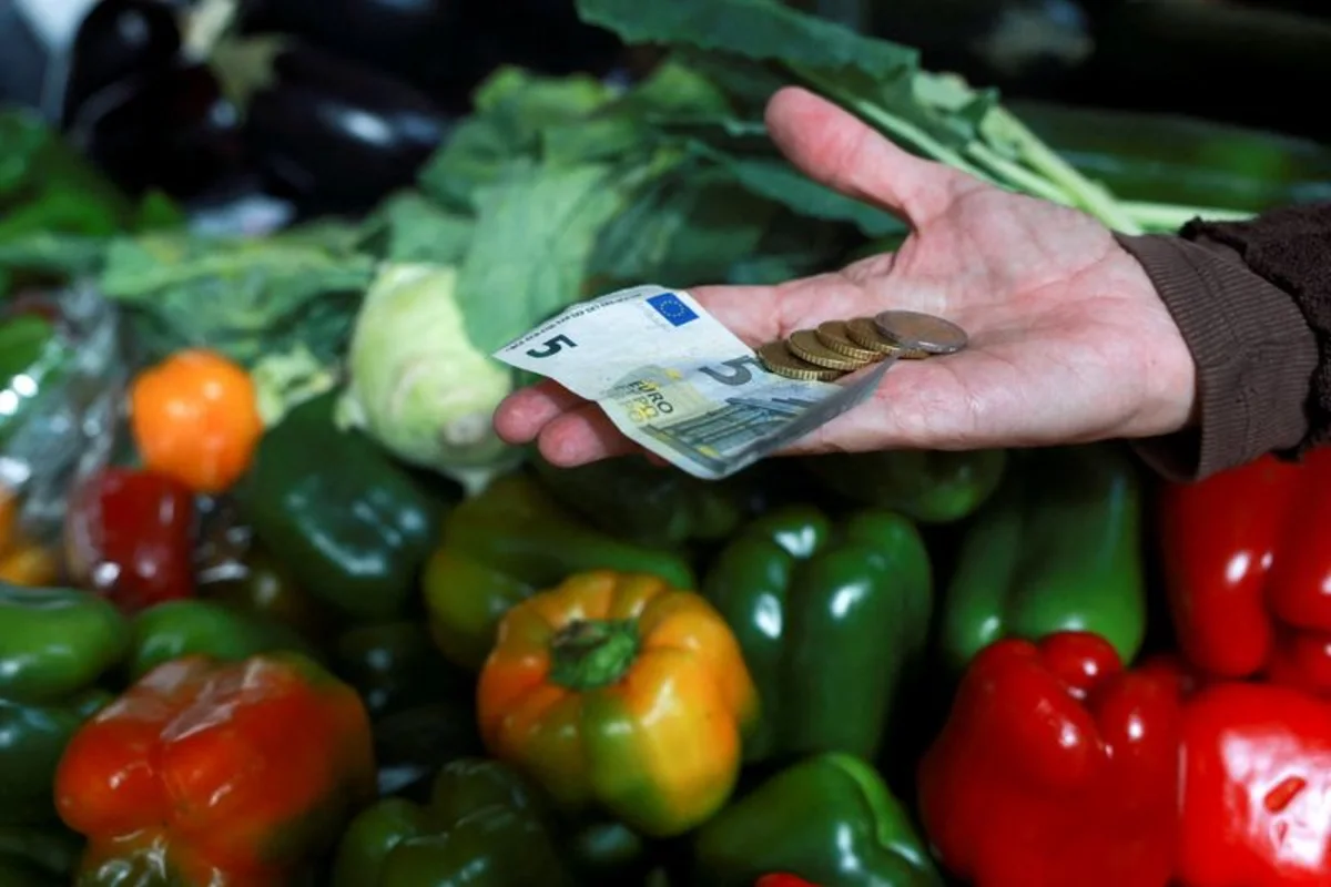 Euro recua e busca recuperação em meio à crise da dívida na França