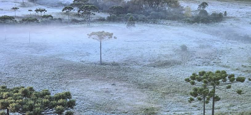 Paraná registra frio fora de época com mínimas de 2,3ºC em outubro