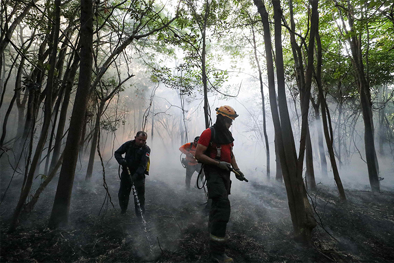 Governo envia 160 bombeiros para combater incêndios no Amazonas