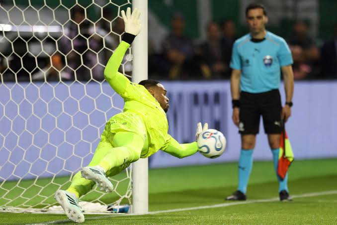 Palmeiras vence o Fluminense nos pênaltis e está na final da Libertadores
