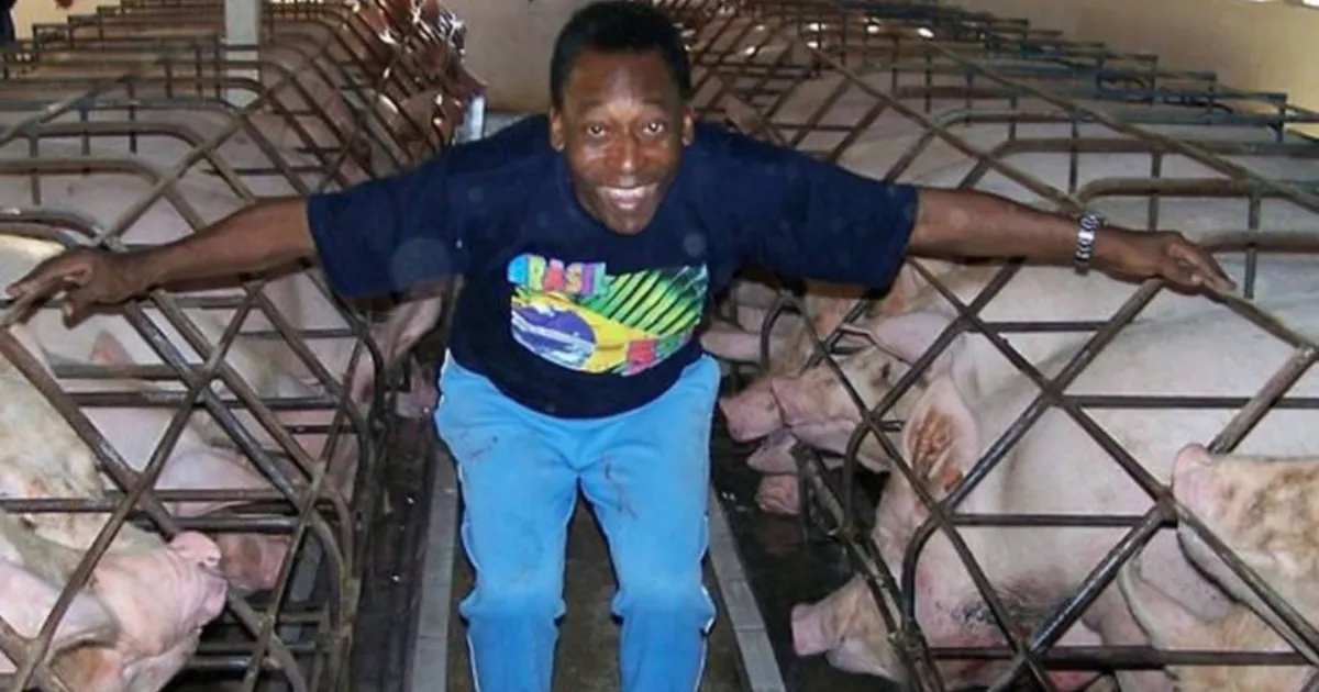 Fazenda histórica que pertenceu ao ex-jogador Pelé é colocada à venda por R$ 35 milhões