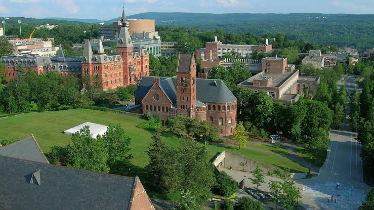 Universidade Cornell pede adiamento de ordem de silêncio em processo