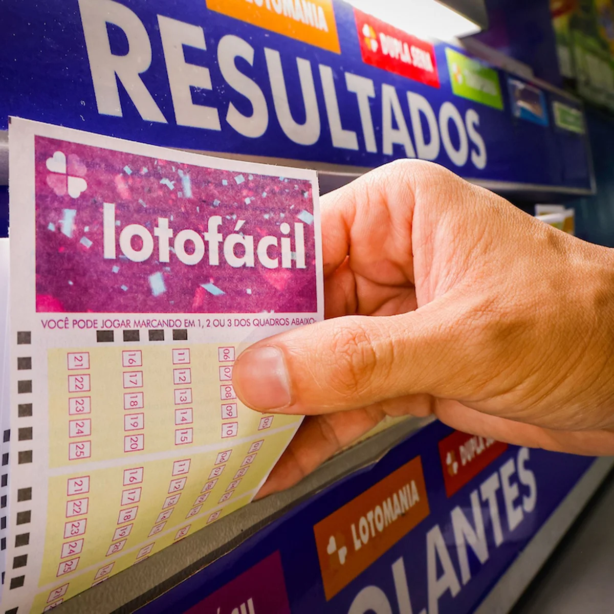 Lotofácil 3813: confira os números sorteados pela Caixa