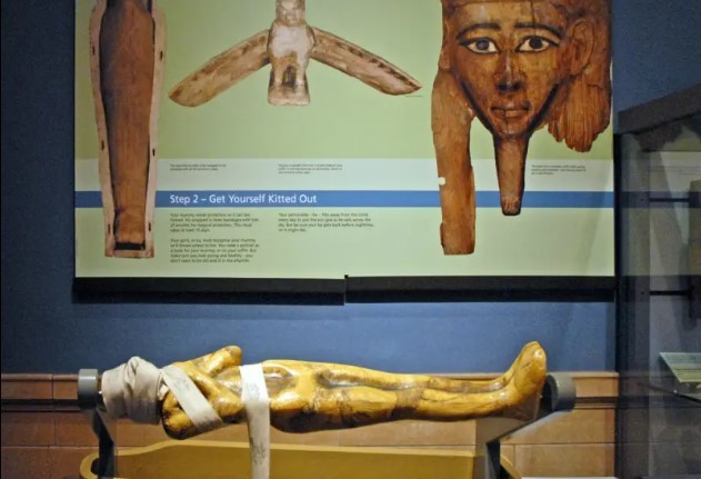 Museu na Escócia retira múmias por falta de consentimento