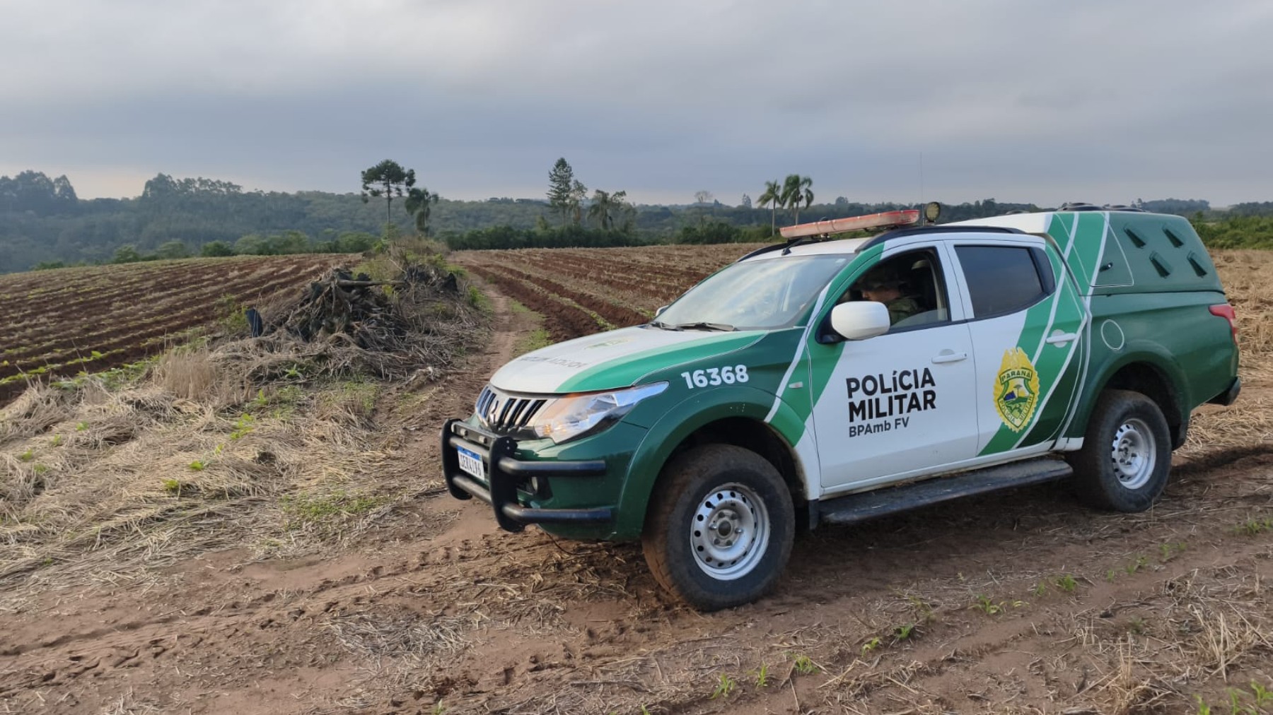 Fazendeiro é multado em R$ 84 mil por desmatar floresta nativa no Paraná