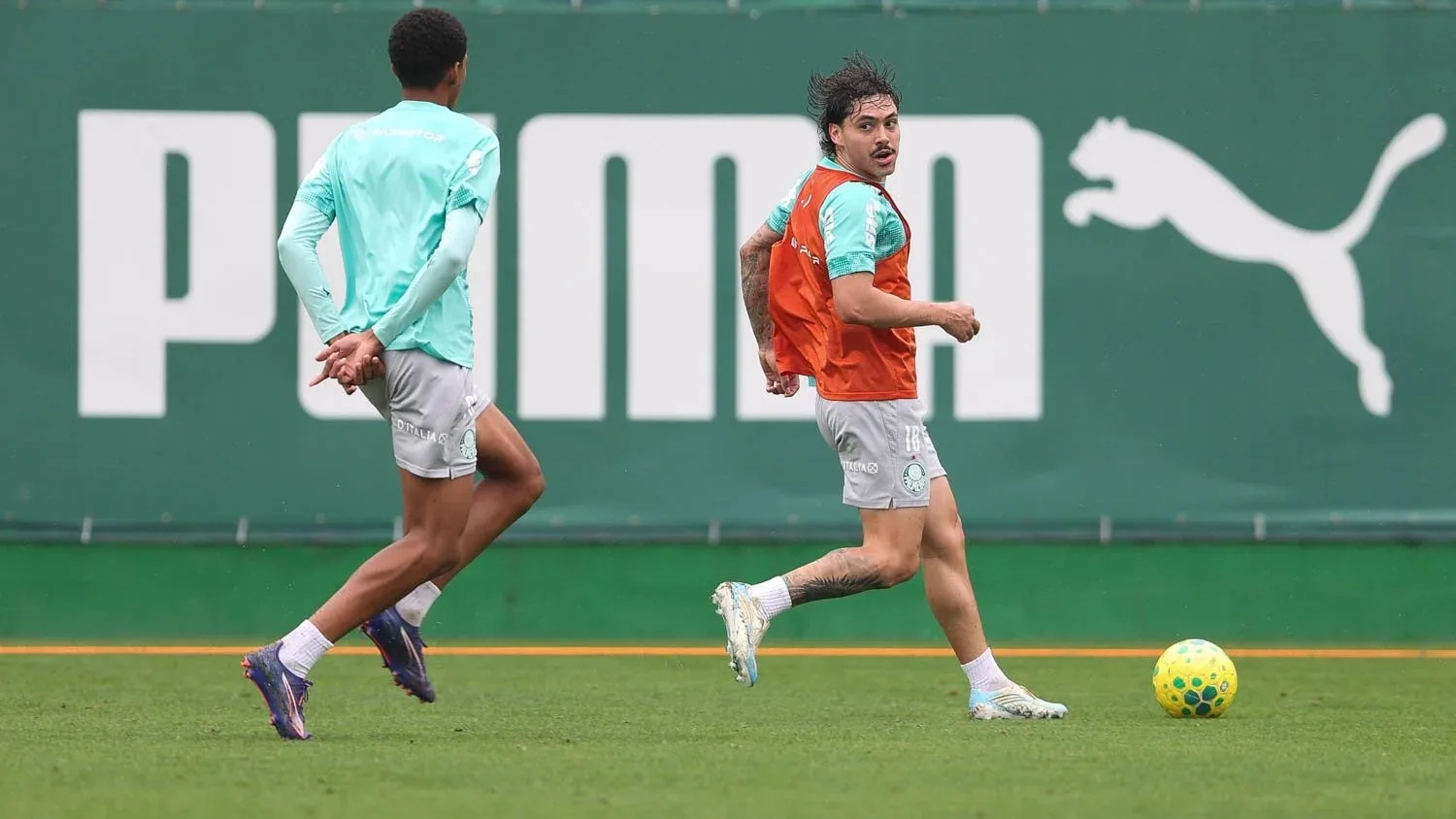Palmeiras inicia preparação para enfrentar o Vasco na Copa do Brasil